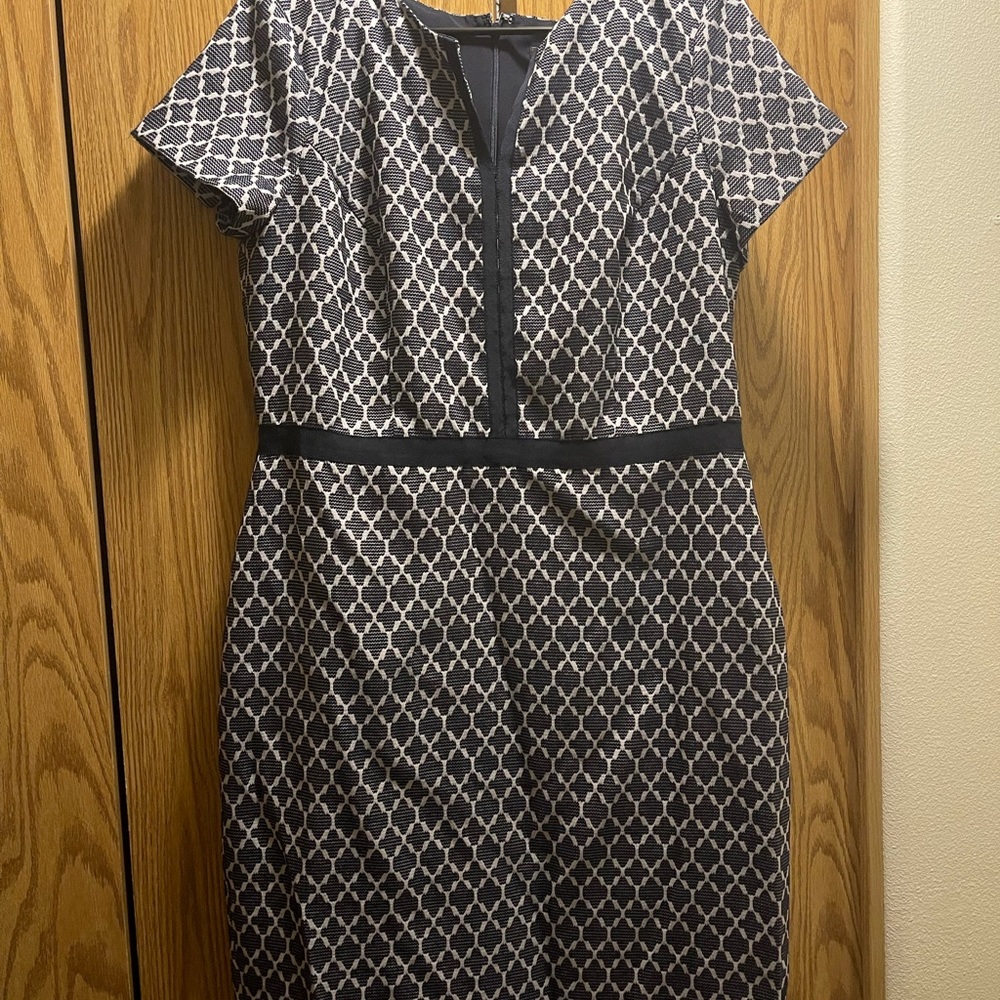 Ann taylor dress